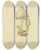 Triptych art skateboard deck of James Bolton Icons Fungorum Circa Halifax Sponte Nascentium Pl010 by James Bolton (1735-1799)