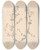 Triptych art skateboard deck of Louis Antoine Cusin Herbier De La Flore Franaise Pl0623 by Louis Antoine Cusin (1824-1901)