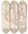 Triptych art skateboard deck of Louis Antoine Cusin Herbier De La Flore Franaise Pl0616 by Louis Antoine Cusin (1824-1901)