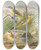 Triptych art skateboard deck of Johann Friedrich Naumann Budytes Flavus by Johann Friedrich Naumann (1780-1857)