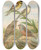 Triptych art skateboard deck of Johann Friedrich Naumann Emberiza Aureola Pall Emberiza Caesia Cretschmar by Johann Friedrich Naumann (1780-1857)