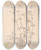 Triptych art skateboard deck of Louis Antoine Cusin Herbier De La Flore Franaise Pl0625 by Louis Antoine Cusin (1824-1901)
