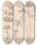 Triptych art skateboard deck of Louis Antoine Cusin Herbier De La Flore Franaise Pl0604 by Louis Antoine Cusin (1824-1901)