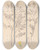 Triptych art skateboard deck of Louis Antoine Cusin Herbier De La Flore Franaise Pl0430 by Louis Antoine Cusin (1824-1901)