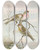 Triptych art skateboard deck of Johann Friedrich Naumann Acanthis Linaria by Johann Friedrich Naumann (1780-1857)