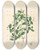 Triptych art skateboard deck of William Roxburgh Plants Of The Coast Of Coromandel Pl077 by William Roxburgh (1751-1815)