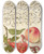 Triptych art skateboard deck of Joris Hoefnagel Pomegranate Worm And Peach by Joris Hoefnagel (1542-1600)