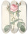 Triptych art skateboard deck of Pierre Joseph Redout Rosa Muscosa Multiplex by Pierre Joseph Redoute (1759-1840)