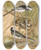 Triptych art skateboard deck of Johann Friedrich Naumann Motacilla Lugubris Temm by Johann Friedrich Naumann (1780-1857)