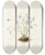 Triptych art skateboard deck of Mary Vaux Walcott Quakerladies Houstonia Caerulea by Mary Vaux Walcott (1860-1940)