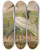 Triptych art skateboard deck of Johann Friedrich Naumann Grus Virgo Grus Leucogeranus Pall by Johann Friedrich Naumann (1780-1857)