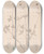 Triptych art skateboard deck of Louis Antoine Cusin Herbier De La Flore Franaise Pl0352 by Louis Antoine Cusin (1824-1901)