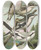 Triptych art skateboard deck of Johann Friedrich Naumann Lanius Excubitor Borealis Lanius Meridionalis Lanius Excubitor Homeyeri by Johann Friedrich Naumann (1780-1857)