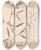 Triptych art skateboard deck of Louis Antoine Cusin Herbier De La Flore Franaise Pl0503 by Louis Antoine Cusin (1824-1901)