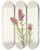 Triptych art skateboard deck of Mary Vaux Walcott Rose Paintbrush Castilleja Pallida by Mary Vaux Walcott (1860-1940)