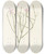 Triptych art skateboard deck of Mary Vaux Walcott Skeletonflower Lygodesmia Juncea by Mary Vaux Walcott (1860-1940)