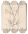 Triptych art skateboard deck of Louis Antoine Cusin Herbier De La Flore Franaise Pl0419 by Louis Antoine Cusin (1824-1901)
