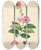 Triptych art skateboard deck of William Roxburgh Plants Of The Coast Of Coromandel Pl065 by William Roxburgh (1751-1815)