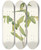 Triptych art skateboard deck of Mary Vaux Walcott Wood Merrybells Uvularia Perfoliata by Mary Vaux Walcott (1860-1940)