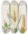 Triptych art skateboard deck of Martin Frobenius Ledermuller Amusement Microscopique Tant Pour Lesprit Que Pour Les Yeux Pl019 by Martin Frobenius Ledermu%Cc%88Ller (1719-1769)