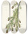 Triptych art skateboard deck of Mary Vaux Walcott Western Hemlock Tsuga Heterophylla by Mary Vaux Walcott (1860-1940)