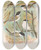 Triptych art skateboard deck of Johann Friedrich Naumann Parus Salicarius Montanus Borealis Liljeborg Dresseri Meridionalis Liljeborg by Johann Friedrich Naumann (1780-1857)