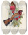 Triptych art skateboard deck of John Gould A Monograph Of The Trogonidae Or Family Of Trogons Pl47 by John Gould (1804-1881)