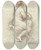 Triptych art skateboard deck of Francesco Zuccarelli Sitzender Weiblicher Akt Nach Rechts by Francesco Zuccarelli (1702-1788)