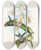 Triptych art skateboard deck of John Gould Glaucis Fraseri Frasers Barbedthroat by John Gould (1804-1881)