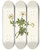 Triptych art skateboard deck of Mary Vaux Walcott White Globeflower Trollius Albiflorus by Mary Vaux Walcott (1860-1940)