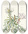 Triptych art skateboard deck of Mary Vaux Walcott White Dawnrose Pachyloplus Marginatus by Mary Vaux Walcott (1860-1940)