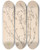 Triptych art skateboard deck of Louis Antoine Cusin Herbier De La Flore Franaise Pl0617 by Louis Antoine Cusin (1824-1901)