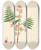 Triptych art skateboard deck of William Roxburgh Plants Of The Coast Of Coromandel Pl031 by William Roxburgh (1751-1815)