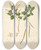Triptych art skateboard deck of William Roxburgh Plants Of The Coast Of Coromandel Pl063 by William Roxburgh (1751-1815)