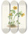 Triptych art skateboard deck of Mary Vaux Walcott Avalanche Buttercup Ranunculus Suksdorfii by Mary Vaux Walcott (1860-1940)