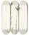 Triptych art skateboard deck of Mary Vaux Walcott Gray Pussy Toes Antennaria Howellii by Mary Vaux Walcott (1860-1940)
