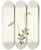 Triptych art skateboard deck of Mary Vaux Walcott Sidebells Pyrola Pyrola Secunda by Mary Vaux Walcott (1860-1940)