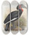 Triptych art skateboard deck of Daniel Giraud Elliot Bucorvus Cafer by Daniel Giraud Elliot (1835-1915)