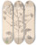 Triptych art skateboard deck of Louis Antoine Cusin Herbier De La Flore Franaise Pl0441 by Louis Antoine Cusin (1824-1901)