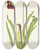 Triptych art skateboard deck of Mary Vaux Walcott Sweet Pitcherplant Sarracenia Rubra by Mary Vaux Walcott (1860-1940)