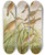 Triptych art skateboard deck of Johann Friedrich Naumann Calamodus Schoenobaenus Aquaticus Arundinaceus by Johann Friedrich Naumann (1780-1857)