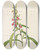 Triptych art skateboard deck of Pierre Joseph Redout Description Des Plantes Rares Cultivees A Malmaison Et A Navarre Pl64 by Pierre Joseph Redoute (1759-1840)