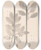 Triptych art skateboard deck of Louis Antoine Cusin Herbier De La Flore Franaise Pl0144 by Louis Antoine Cusin (1824-1901)