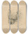 Triptych art skateboard deck of Floris Verster Head Of A Dog_1 by Floris Verster (1861-1927)
