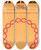 Triptych art skateboard deck of National Institutes Of Health Mutational Analysis Of A Viral Replicon by National Institutes Of Health (1887)