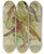 Triptych art skateboard deck of Johann Friedrich Naumann Sylvia Melanocephala Sylvia Undata Hypolais Salicaria by Johann Friedrich Naumann (1780-1857)