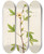 Triptych art skateboard deck of Pierre Joseph Redout Description Des Plantes Rares Cultivees A Malmaison Et A Navarre Pl29 by Pierre Joseph Redoute (1759-1840)