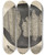 Triptych art skateboard deck of Robert Hooke Microscopic View Of Cork And Sprouts by Robert Hooke (1635-1703)