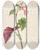Triptych art skateboard deck of Pierre Joseph Redout Description Des Plantes Rares Cultivees A Malmaison Et A Navarre Pl63 by Pierre Joseph Redoute (1759-1840)