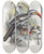 Triptych art skateboard deck of Daniel Giraud Elliot Tockus Erythrorhynchus by Daniel Giraud Elliot (1835-1915)